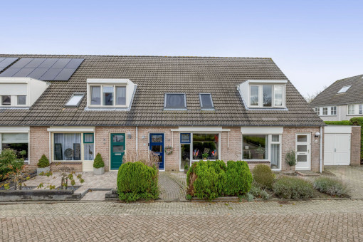 Gerbera 17 Dirksland