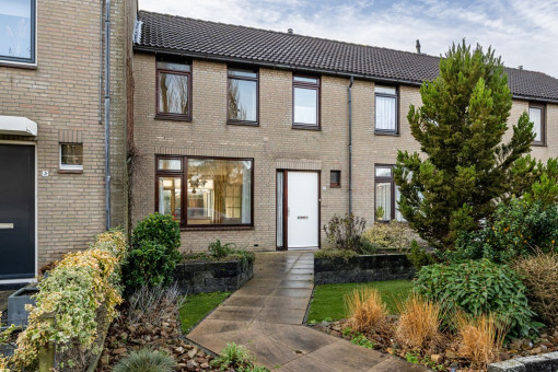 Tureluur 5 Sommelsdijk