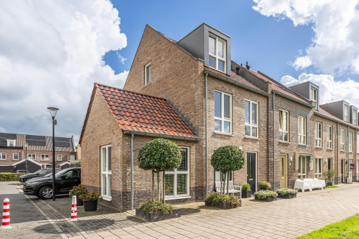 Buitenring 50 Middelharnis